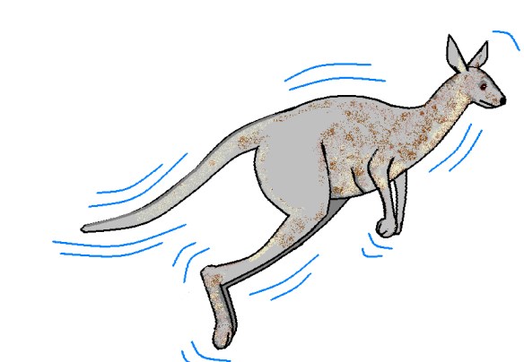 kangarooGRAY