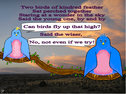 twobirds.png