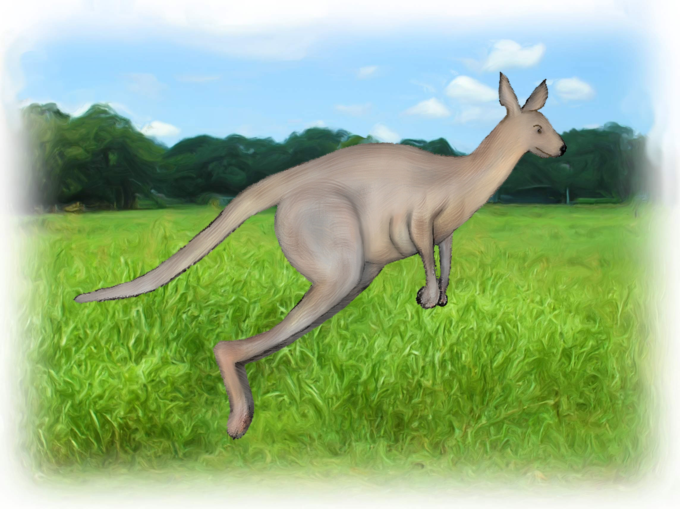 kangarooField_Painting