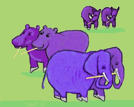 BBZPachyderms