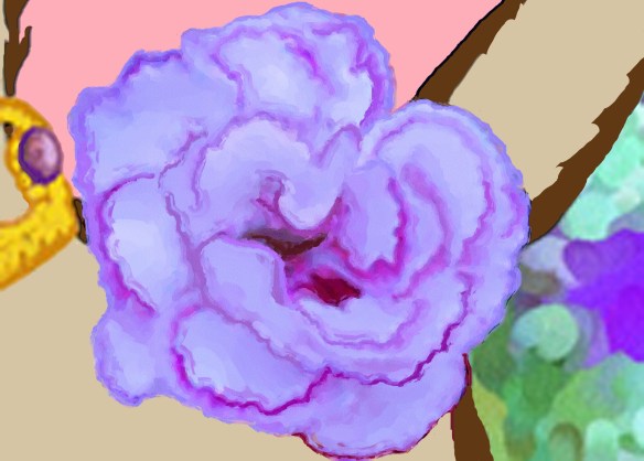 Carnation2